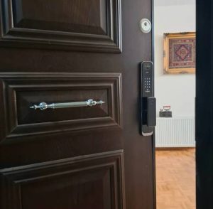 سیسیشسیشسیش